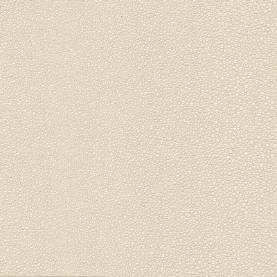 Silver State Stingray Ivory