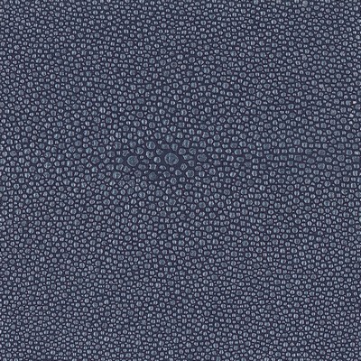 Silver State Stingray Ocean