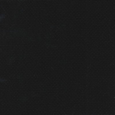 Silver State Sydney Blackbird