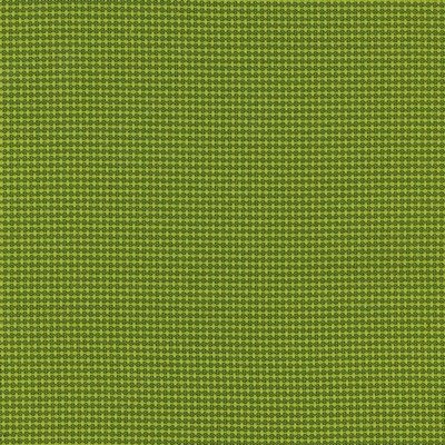 Silver State Sydney Kiwi