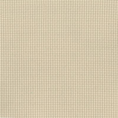 Silver State Sydney Seashell