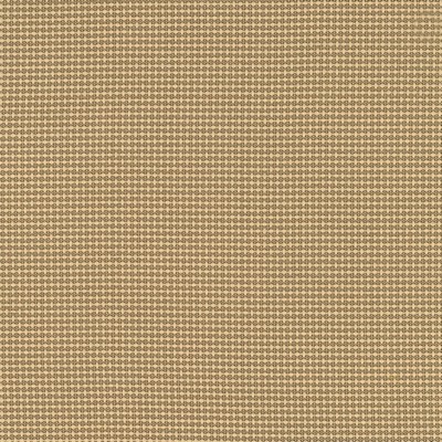 Silver State Sydney Shore