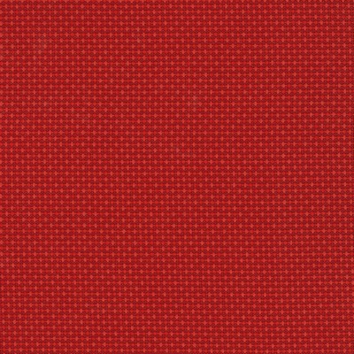 Silver State Sydney Tulip