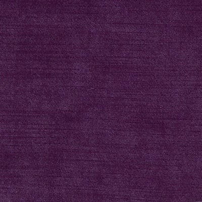 Silver State Thompson   Eggplant 