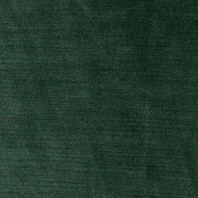 Silver State Thompson   Eucalyptus