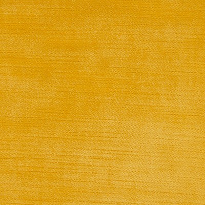 Silver State Thompson   Sunflower