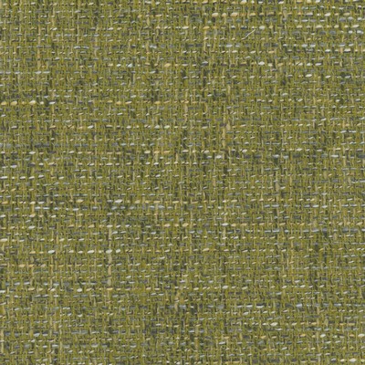 Silver State Troy Fern