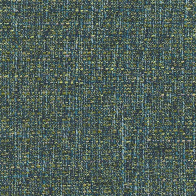 Silver State Troy Juniper