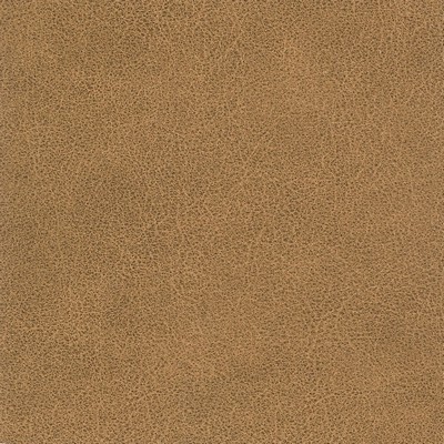 Silver State Tucson Buckskin