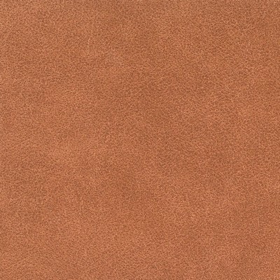 Silver State Tucson Curry