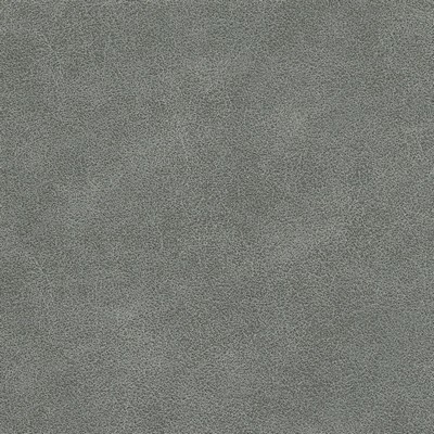 Silver State Tucson Dusk