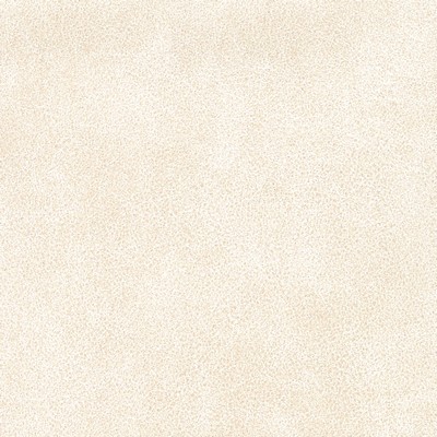 Silver State Tucson Eggshell