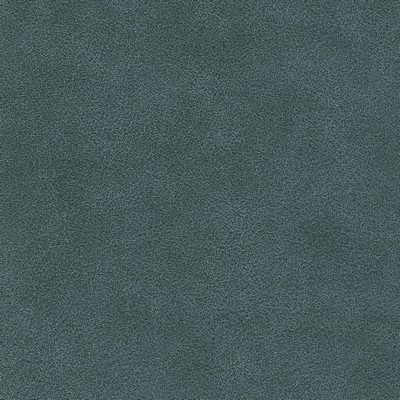 Silver State Tucson Mirage