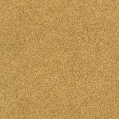 Silver State Tucson Mustard