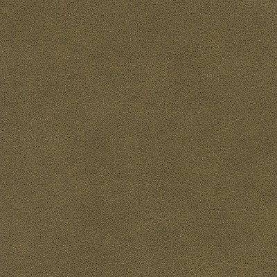 Silver State Tucson Olive