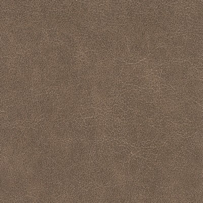 Silver State Tucson Outback