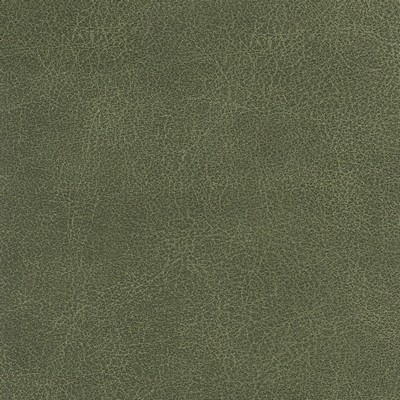 Silver State Tucson Sage