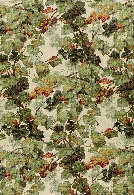 Schumacher Fabric ARBOR VINE DOCUMENT