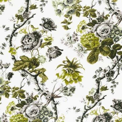 Schumacher Fabric ELIZABETH ACID GREEN/GREIGE