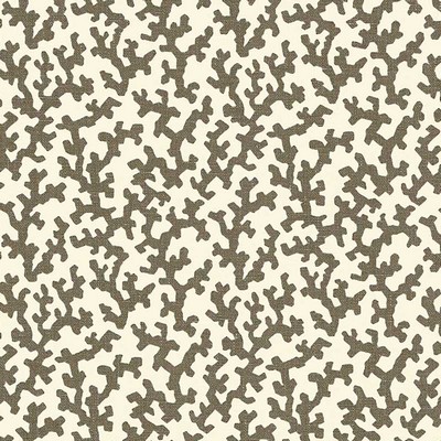 Schumacher Fabric FOLLY BERBER BROWN