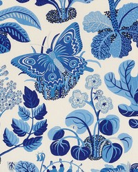 Schumacher Fabric Exotic Butterfly Marine Fabric