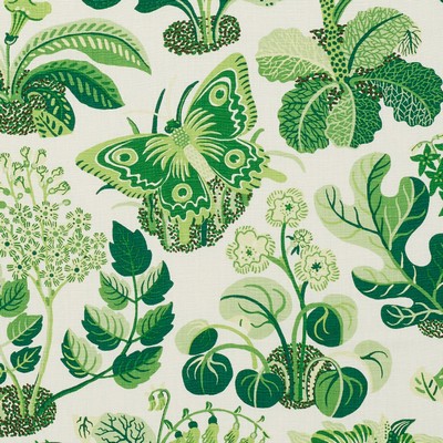 Schumacher Fabric EXOTIC BUTTERFLY LEAF