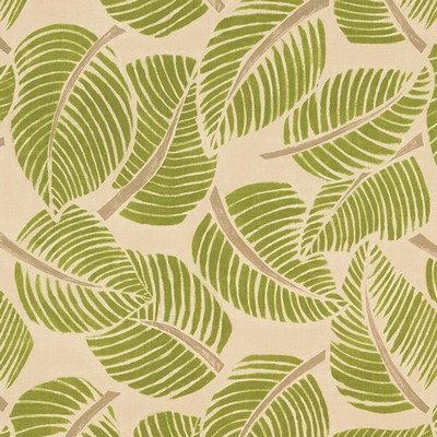Schumacher Fabric COSTA RICA LEAF