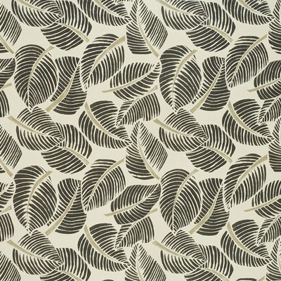 Schumacher Fabric COSTA RICA FADED BLACK