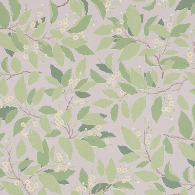 Schumacher Fabric DOGWOOD LEAF GRISAILLE