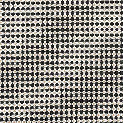 Schumacher Fabric COSMOS II BLACK & SAND