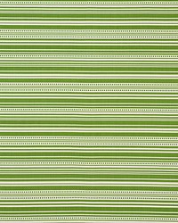 Schumacher Fabric Stripedot Ii Green Fabric