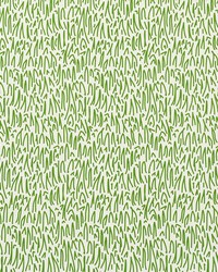 Schumacher Fabric Grass Ii Green Fabric