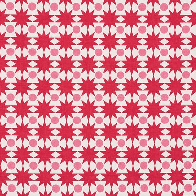 Schumacher Fabric COSMOS VALENTINE