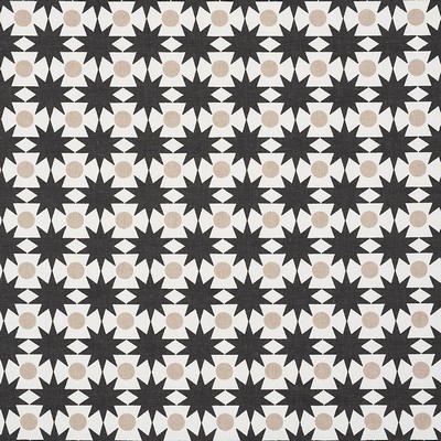 Schumacher Fabric COSMOS BLACK & SAND