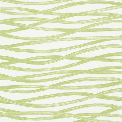 Schumacher Fabric BRUSHSTROKES LEAF