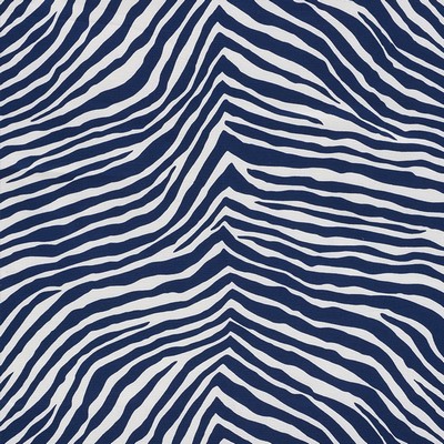 Schumacher Fabric ICONIC ZEBRA BLUE
