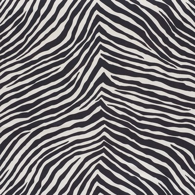 Schumacher Fabric ICONIC ZEBRA BLACK
