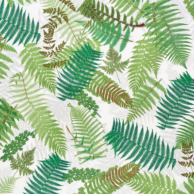 Schumacher Fabric FERNARIUM GREEN & IVORY