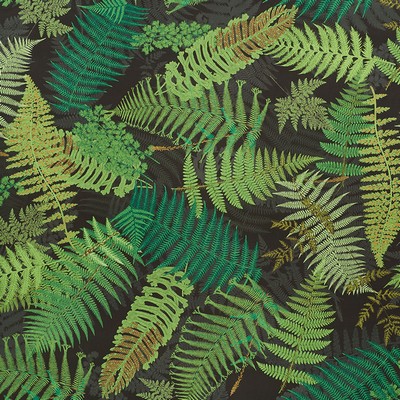Schumacher Fabric FERNARIUM GREEN & BLACK