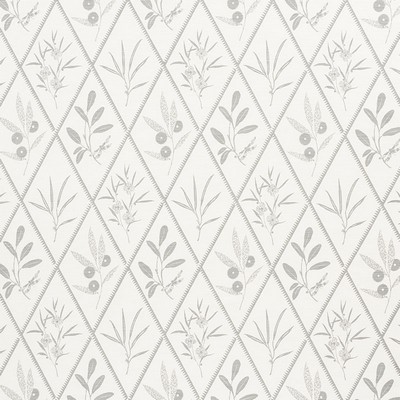 Schumacher Fabric ENDIMIONE GREY