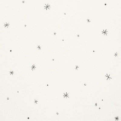 Schumacher Fabric CALISTO IVORY & BLACK