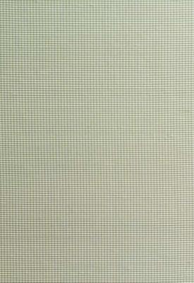 Schumacher Fabric DALTON SILK GINGHAM LEAF