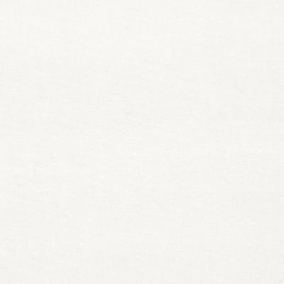 Schumacher Fabric GAINSBOROUGH VELVET WHITE