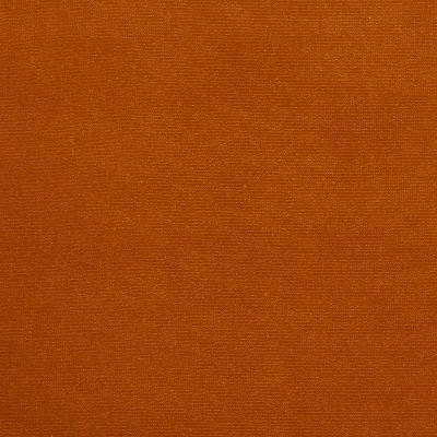 Schumacher Fabric GAINSBOROUGH VELVET BAROQUE