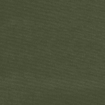 Schumacher Fabric GAINSBOROUGH VELVET PARSLEY
