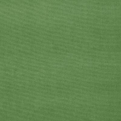 Schumacher Fabric GAINSBOROUGH VELVET PARROT