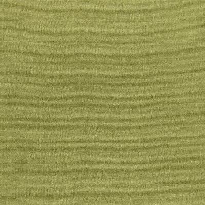 Schumacher Fabric GAINSBOROUGH VELVET PALM