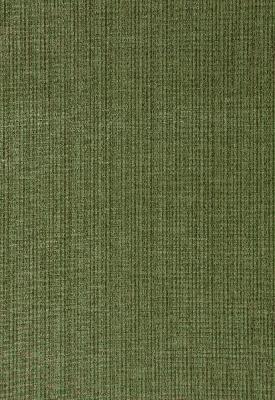 Schumacher Fabric ANTIQUE STRIE VELVET GRASS