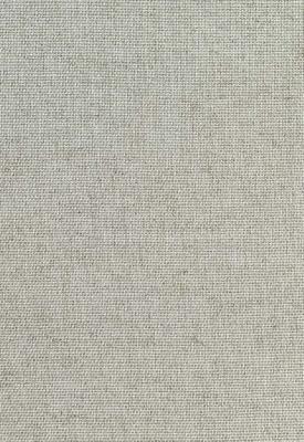Schumacher Fabric CORSICA WEAVE MIST