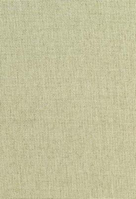 Schumacher Fabric CORSICA WEAVE CELADON